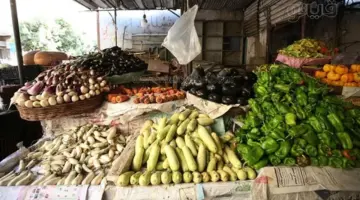 سعر الخضار اليوم، تراجع 8 أصناف منها البطاطس والثوم وهذا ما سجلته الطماطم بعد الارتفاع